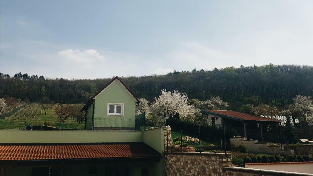 Affittacamere Pod Vinici *